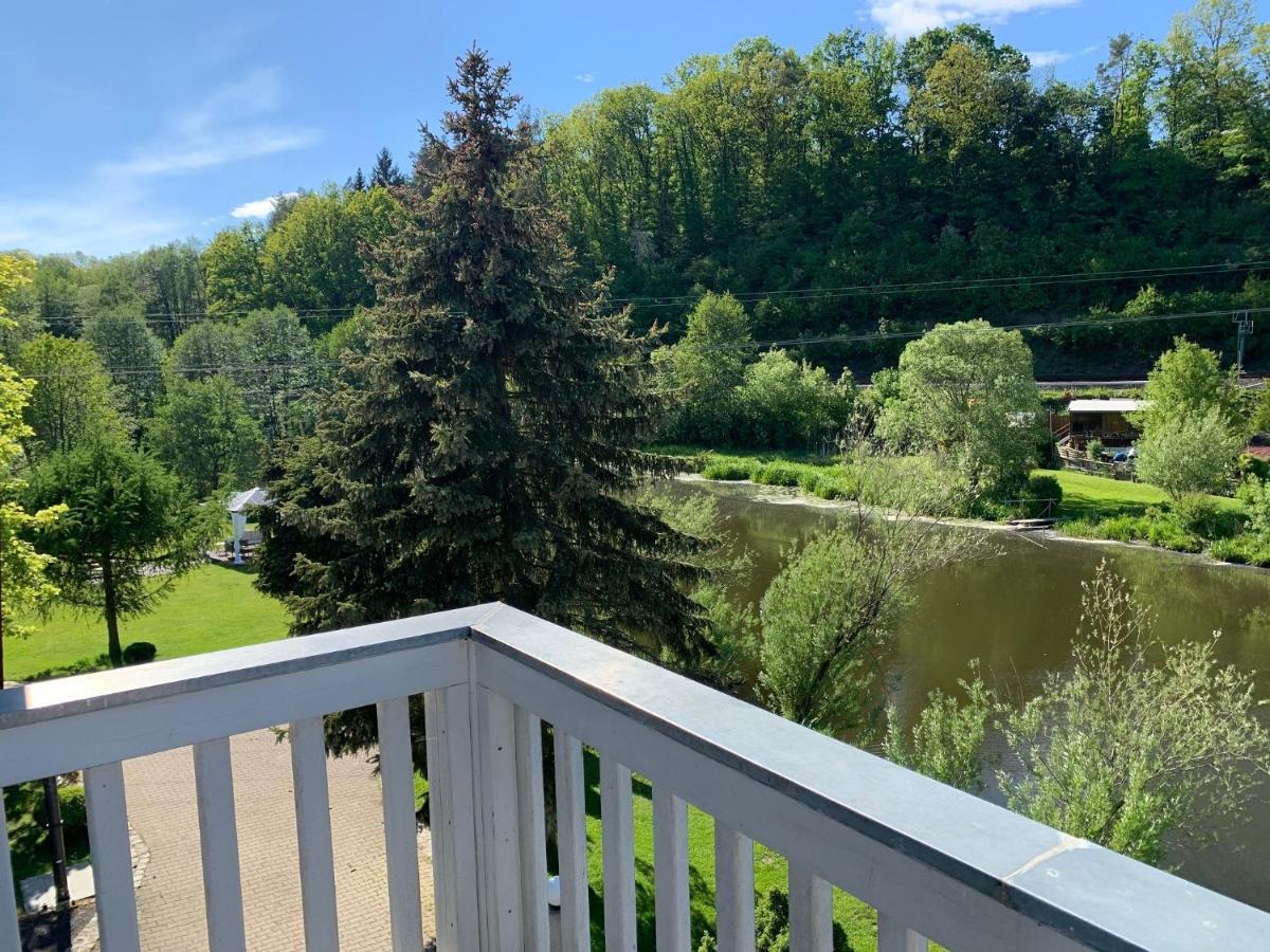 Apartment Direkt An Der Waldnaab Neustadt an der Waldnaab Exteriér fotografie